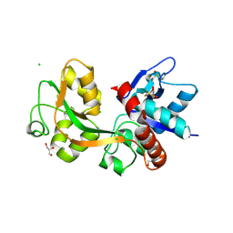 BU of 2rc7 by Molmil
