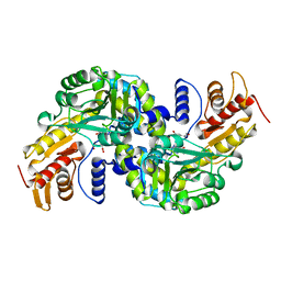 BU of 5wml by Molmil