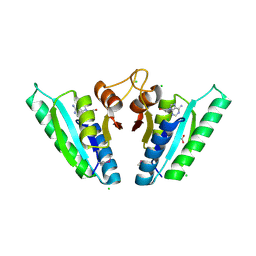 BU of 6hcd by Molmil