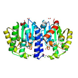 BU of 6njc by Molmil