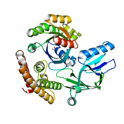 BU of 8i5v by Molmil