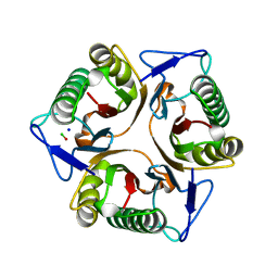BU of 8yrc by Molmil